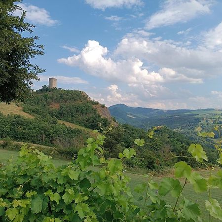 Apartament Il Nido Di Matilde _Monolocale Design Sul Fiume_ Rossena Zewnętrze zdjęcie
